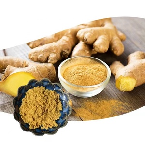 ショウガ根エキス粉末ピュアネイチャーオーガニック良いフレーバーホットセール - Product Image 1