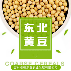 Bulk Yellow High <strong>Protein</strong> Dried Soybeans Human <strong>Food</strong> <strong>Grade</strong> Competitive Price - Product Image 3