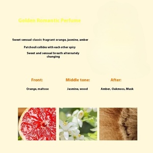 Hoa Kỳ Cổ 2-4 Ngày Giao Hàng Chất Lượng Hàng Đầu Thương Hiệu Nước Hoa Bán Buôn Lâu Dài Người Đàn Ông Của Cơ Thể Phun Hương Thơm Unisex Nước Hoa Nước Hoa - Product Image 4