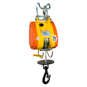 Wholesale Mini Winch Steel Wire Rope 300kg Pulling Capacity New Construction <b>Hoist</b> 110V/220V/380V Construction - Product Image 1
