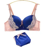 Fashion Sexy Lingerie Sets Women Lace Push up Bra and Panty Set