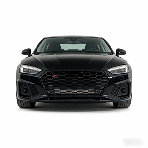 Nuova Griglia in Plastica Nera Camaimde per Modelli Audi A5/S5/RS5/<span class=keywords><strong>Q5</strong></span>/RSQ5 2021 - Parte per Retrofit/Aggiornamento - Product Image 3
