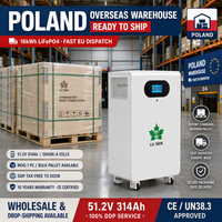 51,2V 314Ah LiFePO4 Wand- oder Bodenbatterie 16kWh mit BMS CAN RS485 WiFi-Überwachung EU-Lager für Solar-Heimenergiespeicherung