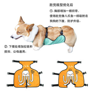 Corgi Belly Bib - Ropa impermeable para mascotas, color verde, para perros pequeños y medianos, uso en verano y en las cuatro estaciones - Product Image 4