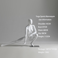 Mannequin de Yoga Féminin Élégant et Vif pour Présentation de Vêtements de Sport et de Mode – Vente en Gros