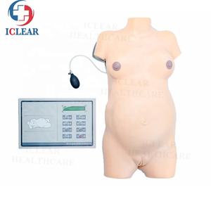 Медицинская обучающая модель вагины, модель гинекологического обследования - Product Image 4