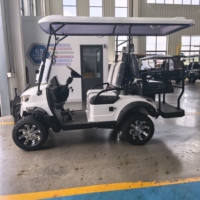 Voiturette de golf électrique au lithium 4 places tout-terrain, véhicule utilitaire à forte capacité de charge pour la chasse, la ferme, le transport en station balnéaire