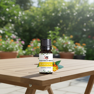 Huile essentielle de Lantana 100% pure naturelle, distillée à la vapeur, anti-inflammatoire, antibactérienne, ingrédient cosmétique d'aromathérapie - Product Image 4