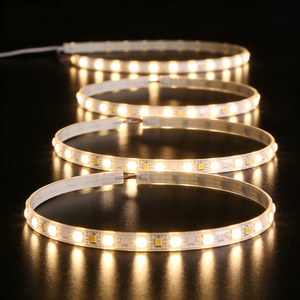 Tira <span class=keywords><strong>de</strong></span> Luces LED SMD 2835, 60/240/120 LED, Rojo, Azul, Dorado, Amarillo, Verde, Rosa, Morado, Naranja, Azul Hielo, Verde Marte, Amarillo Limón, 2835 - Product Image 3