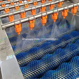 Prix d'usine avocat feijoa laveuse nettoyeur nèfle cerise rouleau machine à laver abricot pêche brosse rouleau machine de nettoyage - Product Image 4