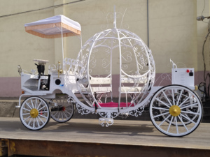 Charrette à Chevaux Électrique de Luxe de Haute Qualité avec Rideau de Pluie, Charrette Royale Tirée par des Chevaux, Cheval de Mariage à Vendre - Product Image 2