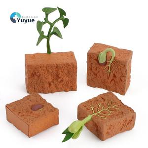 ของเล่นรูปวงจรชีวิตแมลงเพื่อการศึกษา ชุดการเรียนรู้วิทยาศาสตร์พลาสติกแข็งไร้กลิ่น - Product Image 1