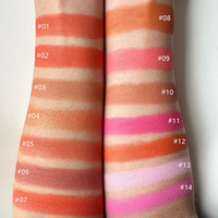 Vegan Single Color Makeup Blush Palette Visage Contour Pigment Orange Pêche Rose Longue Durée Joue Teinte Blush Poudre Cosmétique