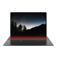 Ordinateur portable de jeu Win10 Slim grand écran 15.6 pouces avec logo personnalisé et clavier rétroéclairé 16 Go 256 Go