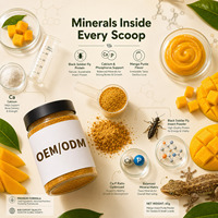 Reptielen Fruit Smaak Insectenpoeder Gekko Kleine Hagedis Zachte Pasta Aangepaste Formule Privélabel Fabrieksdirect Bulk Supplementen