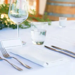 Multi Colors Plain Cocktail Table Cloth Napkins For Restaurant Wedding