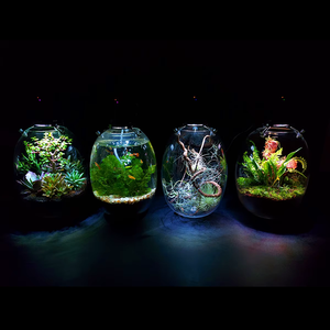 Vườn trong nhà hình bầu dục trồng chai-với quang phổ đầy đủ phát triển thời gian ánh sáng thiết lập và sương mù phát triển cho Rêu/Dương Xỉ/mọng nước/hồ cá - Product Image 3