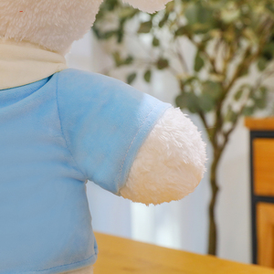 Pijamas de dibujos animados personalizados, muñeco de peluche de perro maltés, peluche supersuave, bonito regalo de cumpleaños para niñas, MOQ bajo, promoción de fábrica - Product Image 5