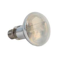 Lampe UVB UVA écologique pour reptiles, ampoule chauffante solaire pour terrarium de tortues, 80W-160W