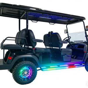 Carritos de Golf Eléctricos de Litio para 2, 4 y 6 Pasajeros, Buggy, Club Car - Product Image 1