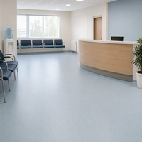 Homogener PVC-Bodenbelag in Rollenform, strapazierfähig, verschleißfest, gewerblicher Vinyl-Bodenbelag für Krankenhauskorridore und Schulen