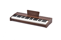 Upright Style Electronic Piano PVC Keyboard Titanium Alloy Stand Built Speakers Power Adapter Stickers Beginner Gift 49 Keys