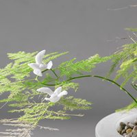 Mini colombe blanche résine Flatback oiseau de paix pour gâteau de mariage et artisanat décoration de noël et de la fête des pères pouces Mini colombes