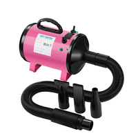 Vente 3200W sèche-flocons pour animaux de compagnie, haute vitesse, faible bruit, pour chat, chien, souffleur avec surface métallique