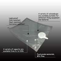 Recharge de savon à mains transparent personnalisé de 800ml 1L Sac d'emballage en plastique pour bavoir Sac de savon liquide dans une boîte avec pompe poussoir et distributeur de tube utilisé