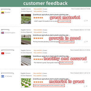 Serres Agricoles Gouttières Hydroponiques Système Hydroponique pour Laitues Canal NFT Hydroponique - Product Image 6