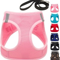 Harnais et laisse pour chien Elite respirant, anti-étranglement, anti-évasion, à enfiler, réfléchissant, en maille aérée souple, pour chiens de taille moyenne et chiots, pour la promenade en extérieur