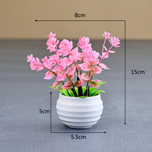 Bonsai di Eucalipto Artificiale per Decorazione Casa, Soggiorno <span class=keywords><strong>e</strong></span> Scrivania - Product Image 2