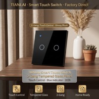 Sakelar Dinding WiFi Dua Tombol Touch Glass EU 1000W Per Tombol TL EUW02, Kontrol Jarak Jauh via Aplikasi Life, untuk Penggunaan di Toko, Hotel, dan Rumah Sehari-hari