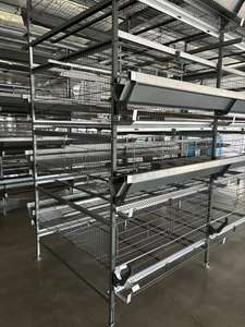 Poulailler d'occasion à long terme, cage à volailles économique pour pondeuses, équipement de ponte durable à bas prix - Product Image 3