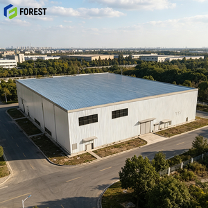 Almacén Industrial Moderno de Estructura de Acero de Alta Capacidad, Depósito de Almacenamiento Modular Prefabricado de Ensamblaje Rápido - Product Image 1
