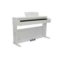 Nouveau style B-96 : Claviers de piano, instruments de musique, piano, accordéon diatonique, orgue électronique pour étudiants