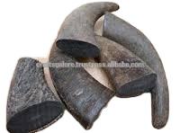 Cuerno de búfalo tallado de animales naturales vikingos indios, puntas sólidas, arte coleccionable disponible a granel en la India por Crafts Galore - Product Image 5