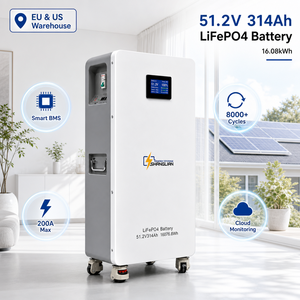 Batterie de stockage d'énergie résidentielle LiFePO4 personnalisable 51,2 V 400 Ah avec ports CAN RS485 RS232, garantie de 5 ans et plus de 6000 cycles - Product Image 1
