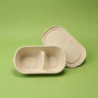 Contenants jetables compostables en pulpe de canne à sucre pour la préparation des repas, emballage alimentaire, boîte bento à 2 compartiments, vaisselle en bagasse
