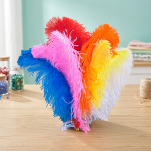 Wholesale Soraj Enterprises Customized Size Dyed Colorful Ostrich <b>Feather</b> Crafts for Party/Wedding/Home Decor Promotional Cheap - Product Image 1