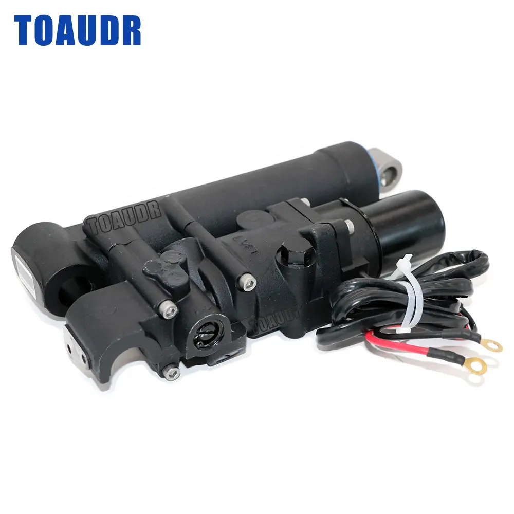 65W-43800 per Yamaha 2 tempi 25HP 30HP 40HP F25 F30HP 40HP fuoribordo singolo Ram Power Tilt Trim Unit 65W-43800-02-4D