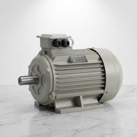 Moteur asynchrone pour machines générales, monophasé 60Hz, à couple élevé, à large plage de tension, sans entretien
