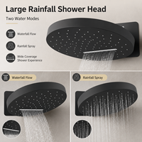 Système de douche encastré en acier inoxydable noir avec bouton poussoir et douchette à effet pluie, vente en gros