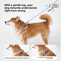 Laisse de promenade en nylon pour chien, corde de fixation tendance, solide, pour petits et moyens chiens, anti-éclatement, anti-emmêlement, anti-évasion, anti-chute brusque