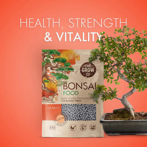 Hot Selling <strong>Slow</strong> <strong>Release</strong> Bonsai <strong>Food</strong> Long-Lasting Nutrition for Precious Bonsai Design for Garden Home or Desktop Decoration - Product Image 4