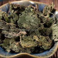 Qian Ma Ye - Broussailles séchées en vrac (Urtica Dioica) - Thé chinois aux feuilles de marron d'eau - 500g