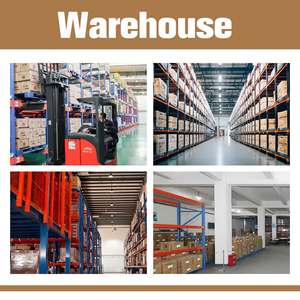 Venta al por mayor vitamina B9 en polvo ácido fólico para ganado y aves de corral grado alimenticio potenciador de nutrición a granel de animales - Product Image 5