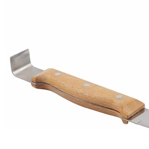 Cuchillo de Acero Inoxidable para Cortar Miel Pomelo, Herramienta de Apicultura con Gancho para Abrir Cuadros de Panal, Nuevo - Product Image 3
