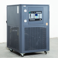 Circulateur réfrigéré DLSB-50/80, unité de refroidissement DLSB, système de réfrigération cryogénique, équipement de laboratoire, prix du refroidisseur