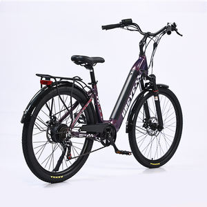 Chenlu CE TUV approuvé batterie cachée 250W 350W moteur arrière bébé adulte poids léger vélo de ville électrique ebike vélo - Product Image 3